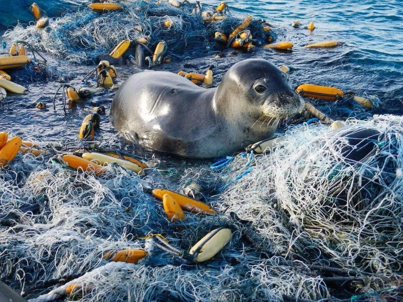 海洋环保 / Ocean Environmental Protection